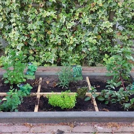 Casa 2234 Op De Schatberg Дом отдыха *