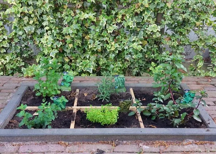 Casa 2234 Op De Schatberg Casa de Férias *